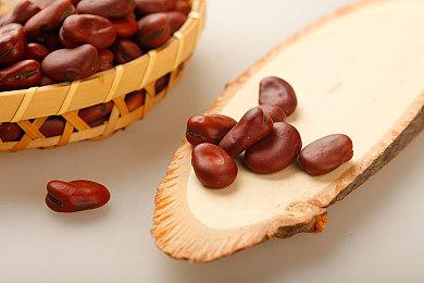 《原神》克洛琳德角色PV——「最终保险」